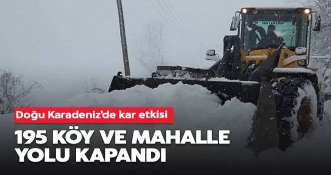 Doğu Karadeniz'de kar etkisi! 195 köy ve mahalle yolu kapandı