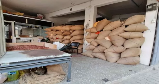 Doların yükselişi fındık fiyatlarını hareketlendirdi
