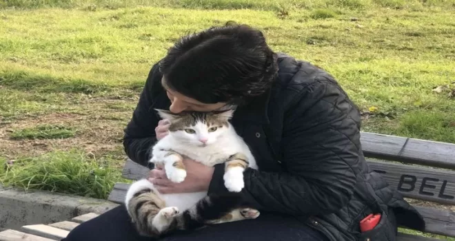 Dünya Kediler Günü’nde kediler ücretsiz muayene edildi
