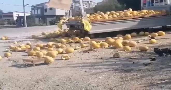 Düzce’de kaza: Kavunlar yola saçıldı