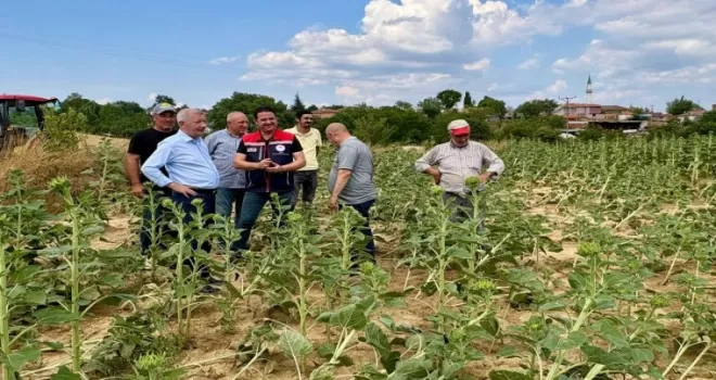 Edirne Keşan’da fırtına sonrası hasar tespiti başladı