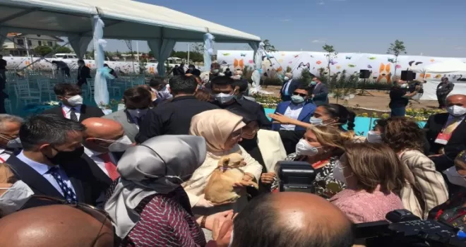 Emine Erdoğan ses telleri kesilen köpeği sanatçı Yonca Evcimik’e emanet etti
