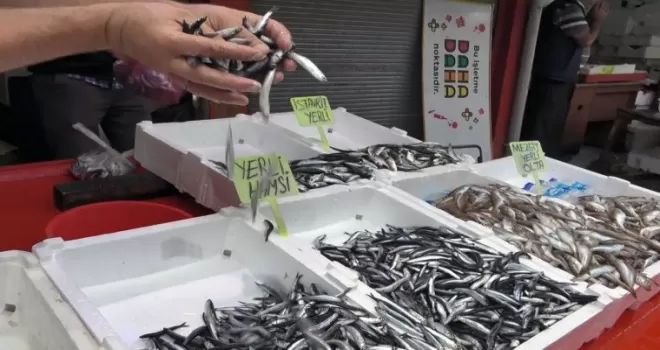 Erken başlayan hamsi sezonu, erken bitecek endişesi
