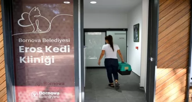 Eros Kedi Kliniği Bornova’da umut oldu