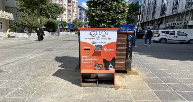 Esenler’de sokak hayvanları mamamatik ile besleniyor
