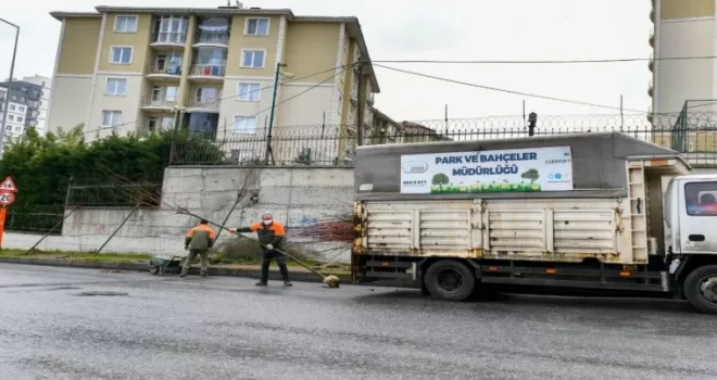 Esenyurt’a ıhlamur ve akasya ağaçları dikildi
