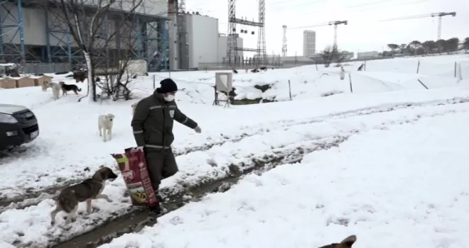 Esenyurt’ta can dostları yalnız bırakılmıyor
