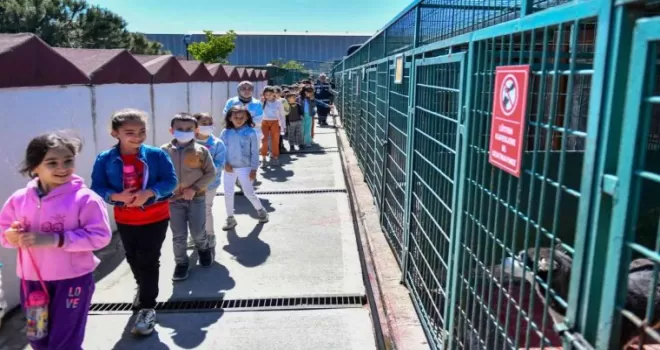 Esenyurtlu minikler, hayvanların yaşadığı bakımevini ziyaret etti
