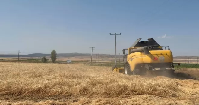 Eskişehir’de 77 tonluk arpa hasadı