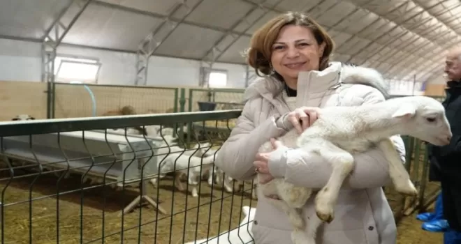 Eskişehir’de üreticilere iki ayrı destek paketi