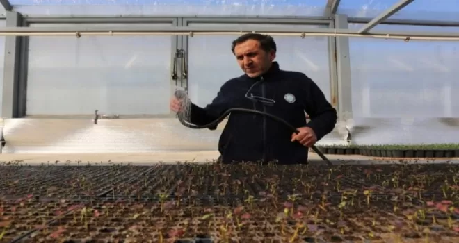 Eskişehir’in yeşil yüzü şehri süslüyor