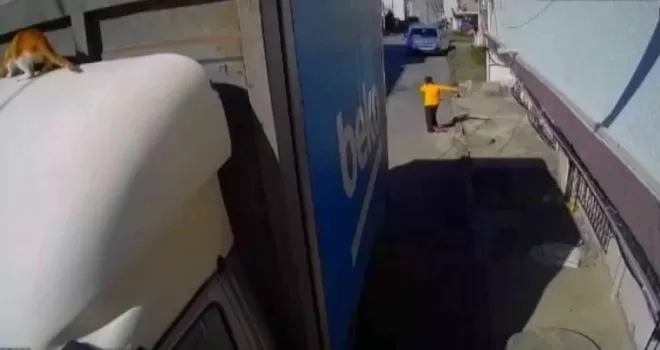 Evden kaçan yaramaz kedi kamerada
