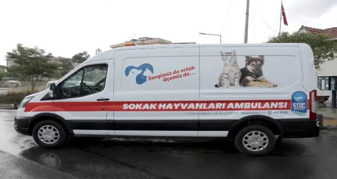 Eyüpsultan’da dikkat çeken çalışma
