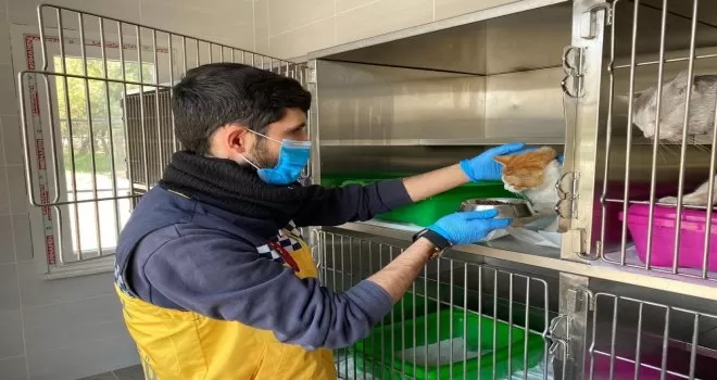 Eyüpsultan’da sokak hayvanları unutulmadı
