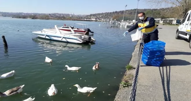 Eyüpsultan’da sokak hayvanları unutulmadı
