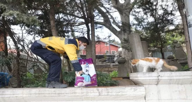 Eyüspultan’da sokak hayvanları unutulmadı
