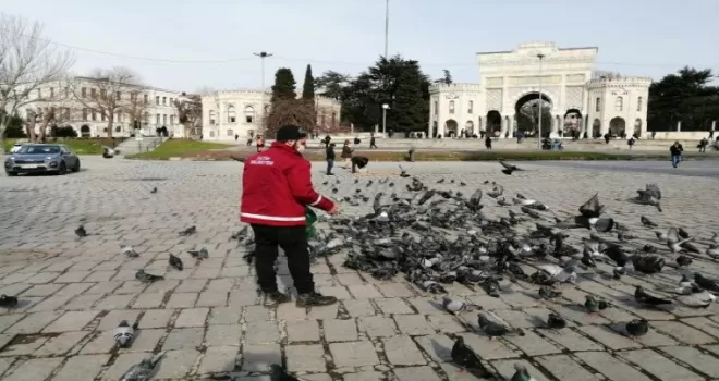 Fatih Belediyesi kısıtlamada sokak hayvanlarını unutmadı

