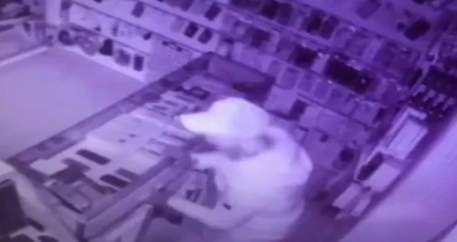 Fatih’te 11 telefon çalan hırsızlar kamerada
