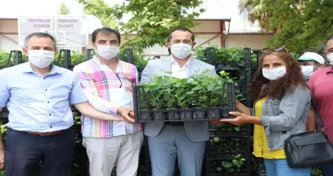 Faydaları saymakla bitmiyor, kanser hücrelerini bile yok edebiliyor
