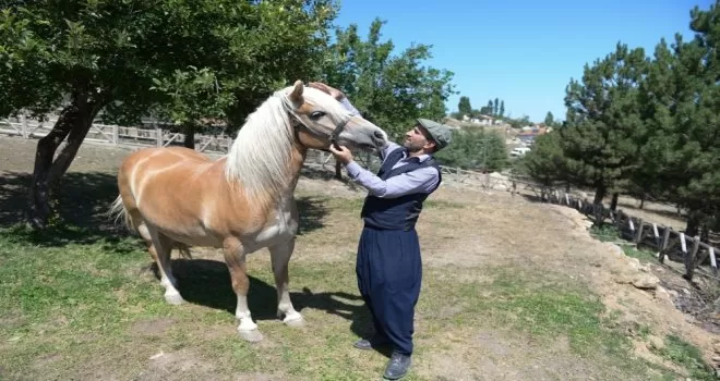 Faytondan özgürlüğe
