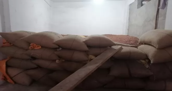 Fındık fiyatı yeni yıla artışla başladı