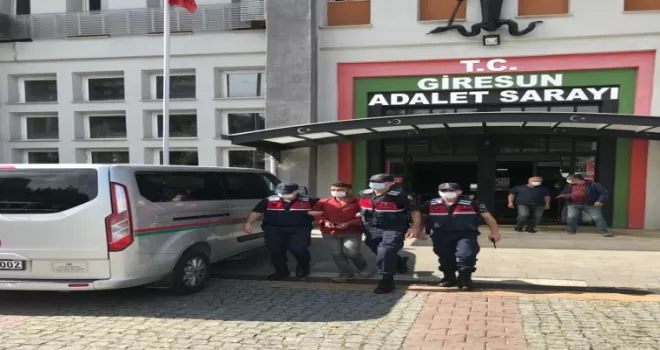 Fındık hırsızları suçüstü yakalandı