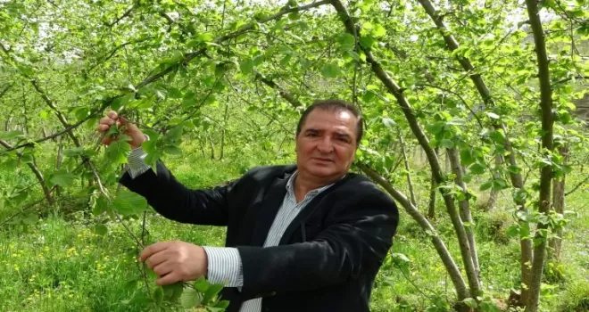 Fındık ihracatının yüzde 85’i AB ülkelerine