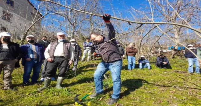 Fındık üreticisine budama ve gübrelere eğitimi veriliyor