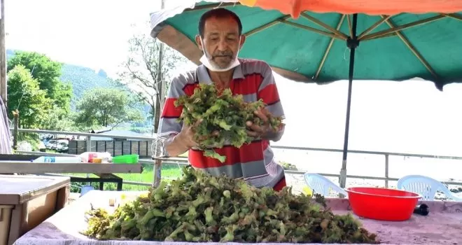 Fındık yola indi