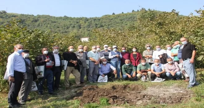 Fındıkta ezber bozuluyor
