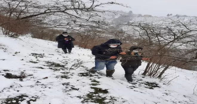 Fındıkta zirai don tespiti için çalışma başlatıldı
