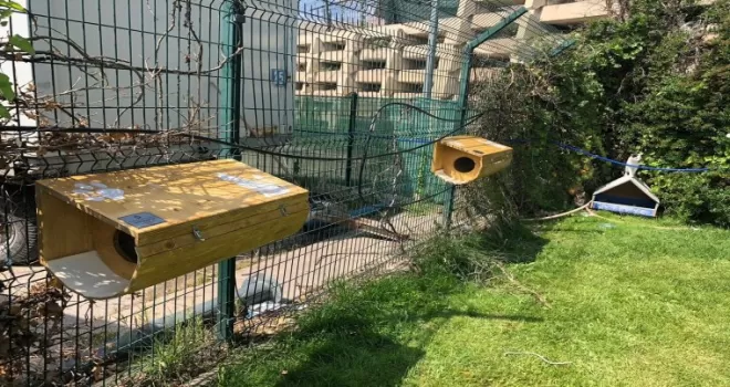 Gazi Üniversitesi öğrencilerinden can dostlara yuva
