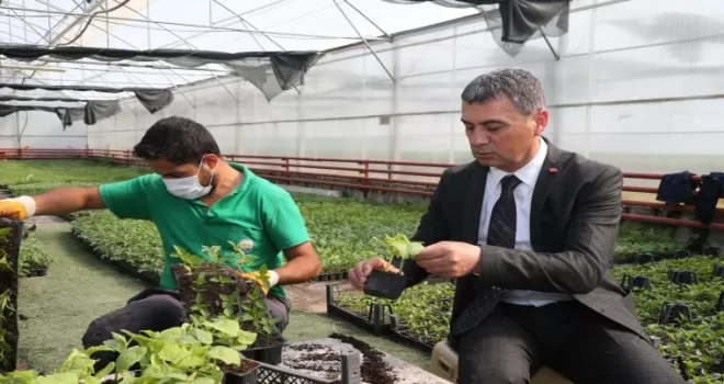 Geleceğimiz yeşersin diye organik fide
