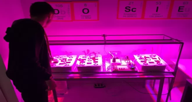Genç kaşiften topraksız tarıma destek
