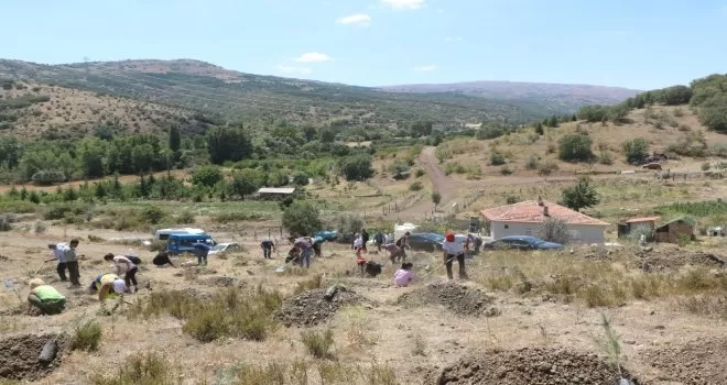 Genç Medyacılar Derneği basın hatıra ormanı açtı
