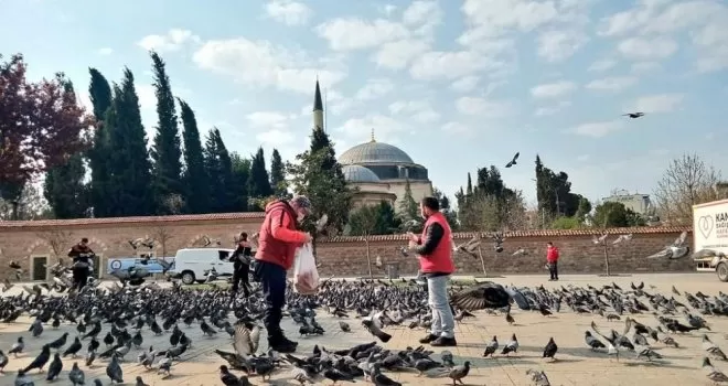 Gençlik Merkezleri sokak hayvanlarını unutmadı
