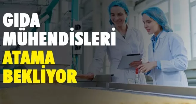 Gıda Mühendisleri atama bekliyor