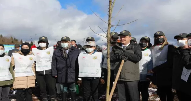 Giresun’da 80 bin fidan toprakla buluşturuldu
