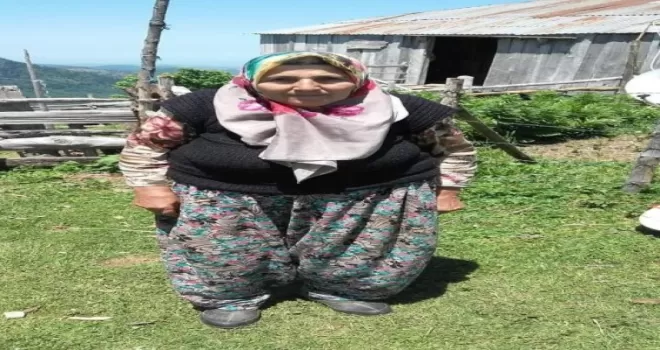 Giresun’da kaybolan kadın sağ olarak bulundu