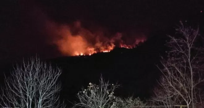 Giresun’da orman yangını
