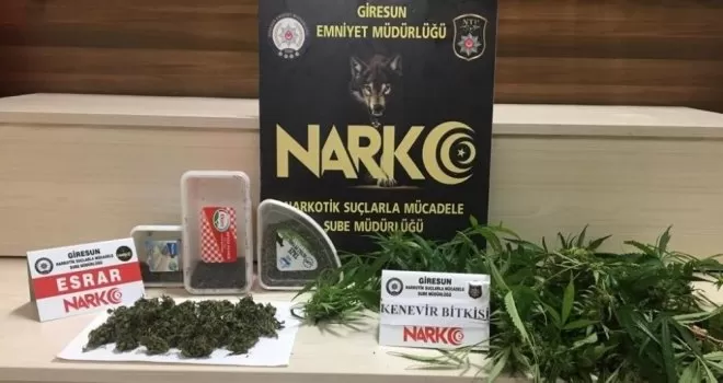 Giresun’da uyuşturucu operasyonunda 1 kişi tutuklandı
