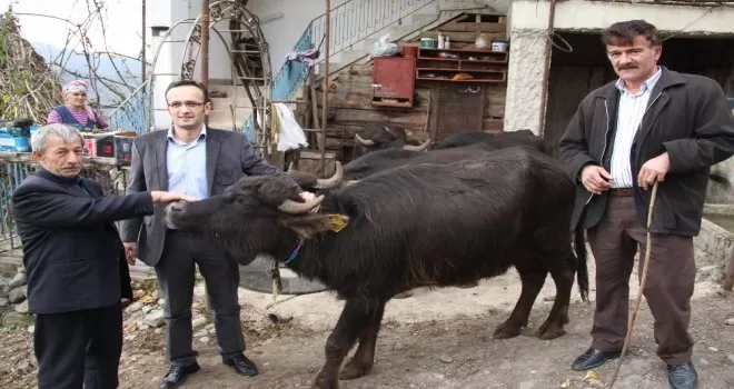 Giresun ekonomisine manda desteği
