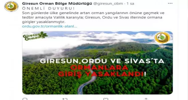 Giresun, Ordu ve Sivas illerinde ormana girmek yasaklandı
