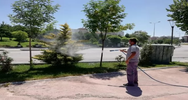 Gölbaşı Belediyesi ilaçlama çalışmalarını sürdürüyor
