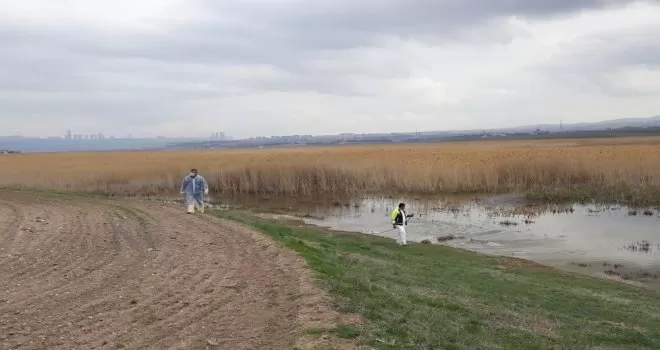 Gölbaşı Belediyesinden böceklere karşı ilaçlama
