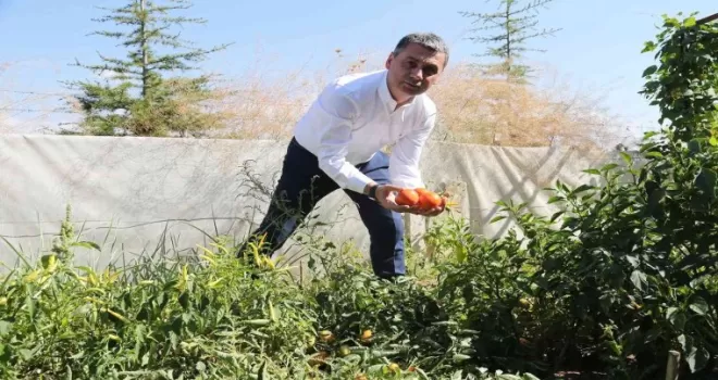 Gölbaşı Belediyesinden çiftçiye hibe buğday desteği
