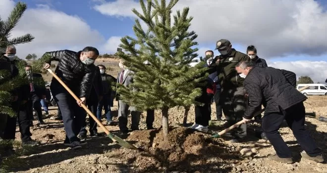 Gümüşhane’de 22 bin fidan toprakla buluştu
