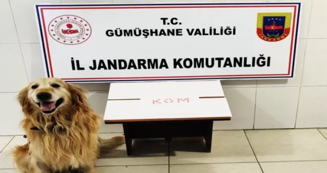 Gümüşhane’de extacy hap ve tütün operasyonu
