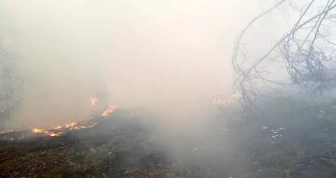 Gümüşhane’de orman içi örtü yangını korkuttu
