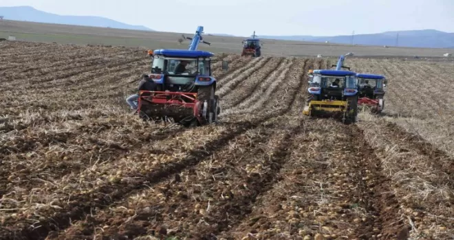 Gümüşhane’de patates hasadı tarla günü düzenlendi
